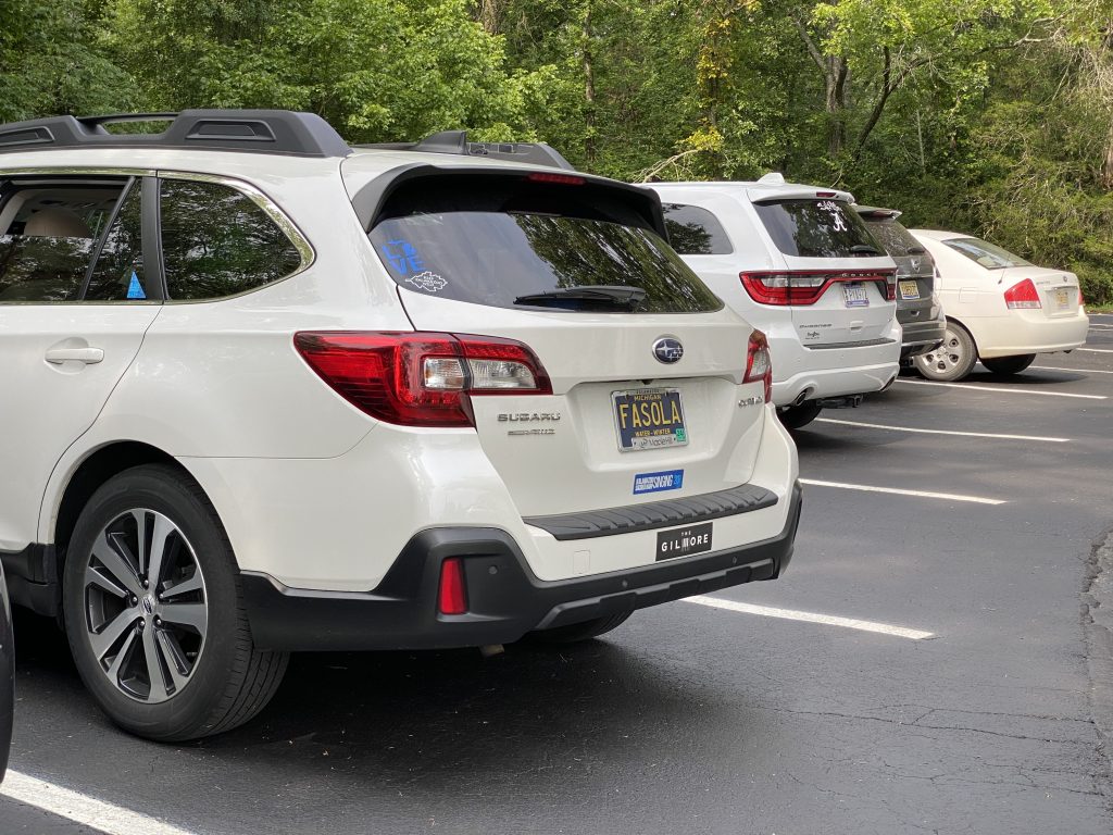 Michigan FASOLA plate